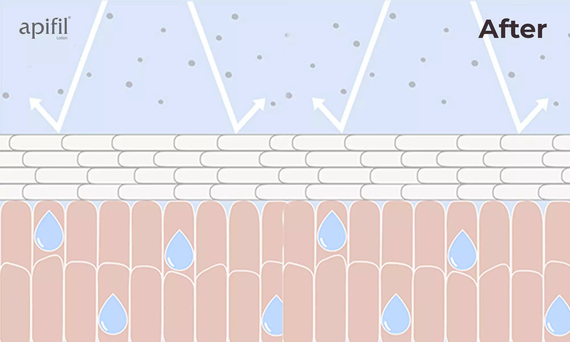 after apifil barrier repair loation