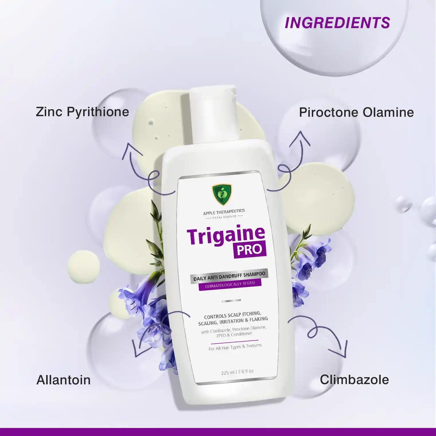 ingredients used in anti-dandruff shampoo