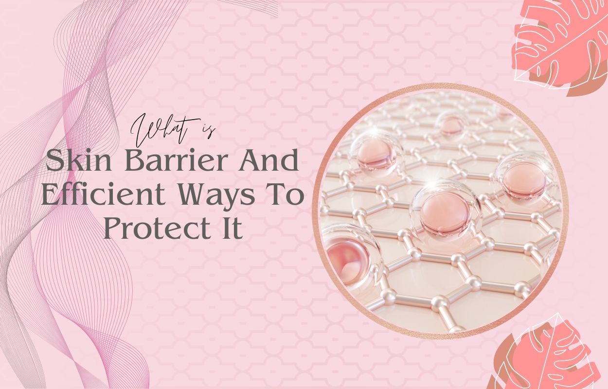What Is Skin Barrier And Efficient Ways To Protect It